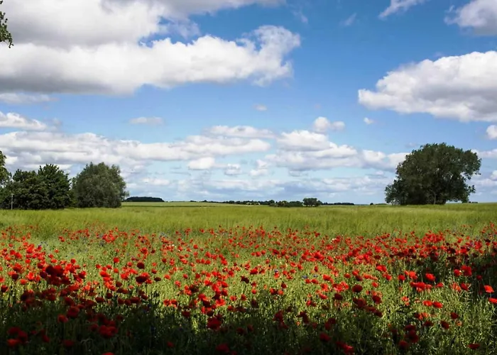 Vakantiehuis Landschek, Ferienhaushaelfte 